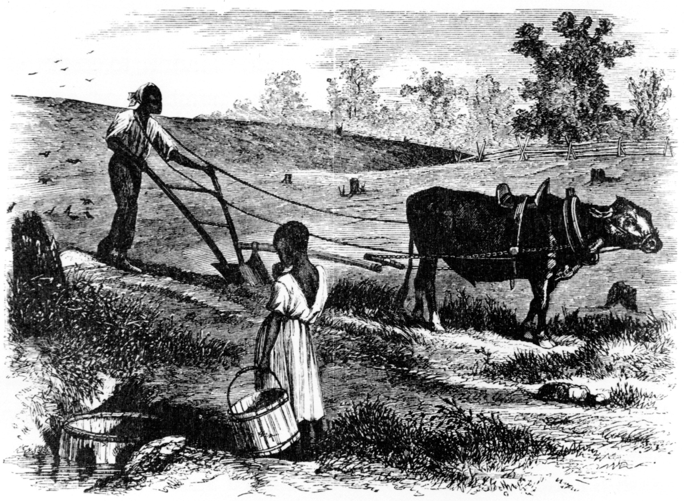 An 1866 engraving portrayed a freedman as a farmer cultivating his homestead. For most mid-nineteenth-century Americans, the image symbolized honesty, responsibility, and independence.