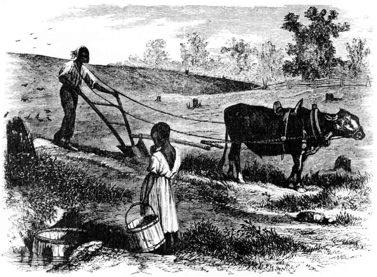 An 1866 engraving portrayed a freedman as a farmer cultivating his homestead. For most mid-nineteenth-century Americans, the image symbolized honesty, responsibility, and independence.