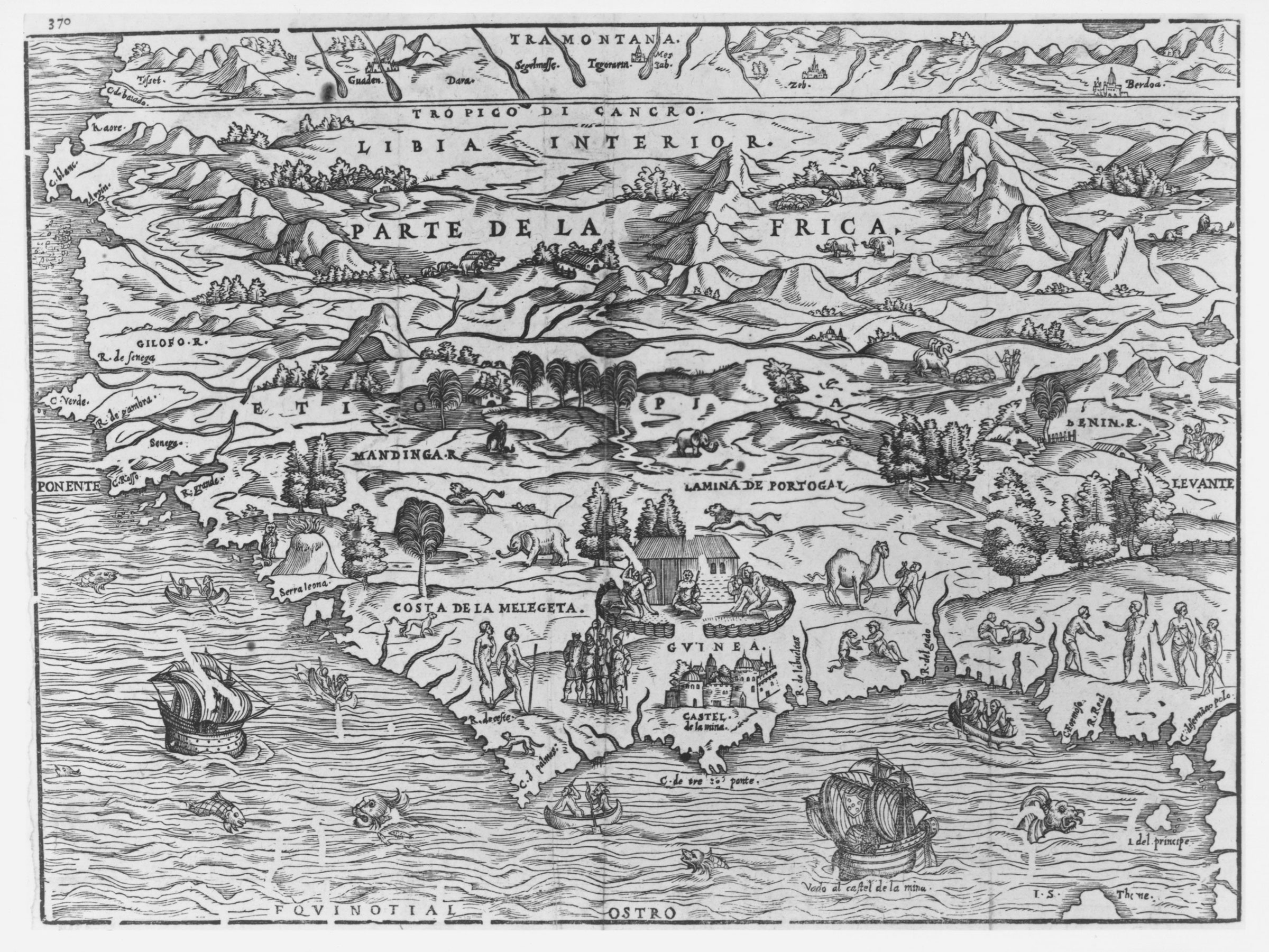 This 1556 Venetian map emphasizes the coastal trading centers of Western Africa, incorrectly portraying the interior as largely uninhabited.