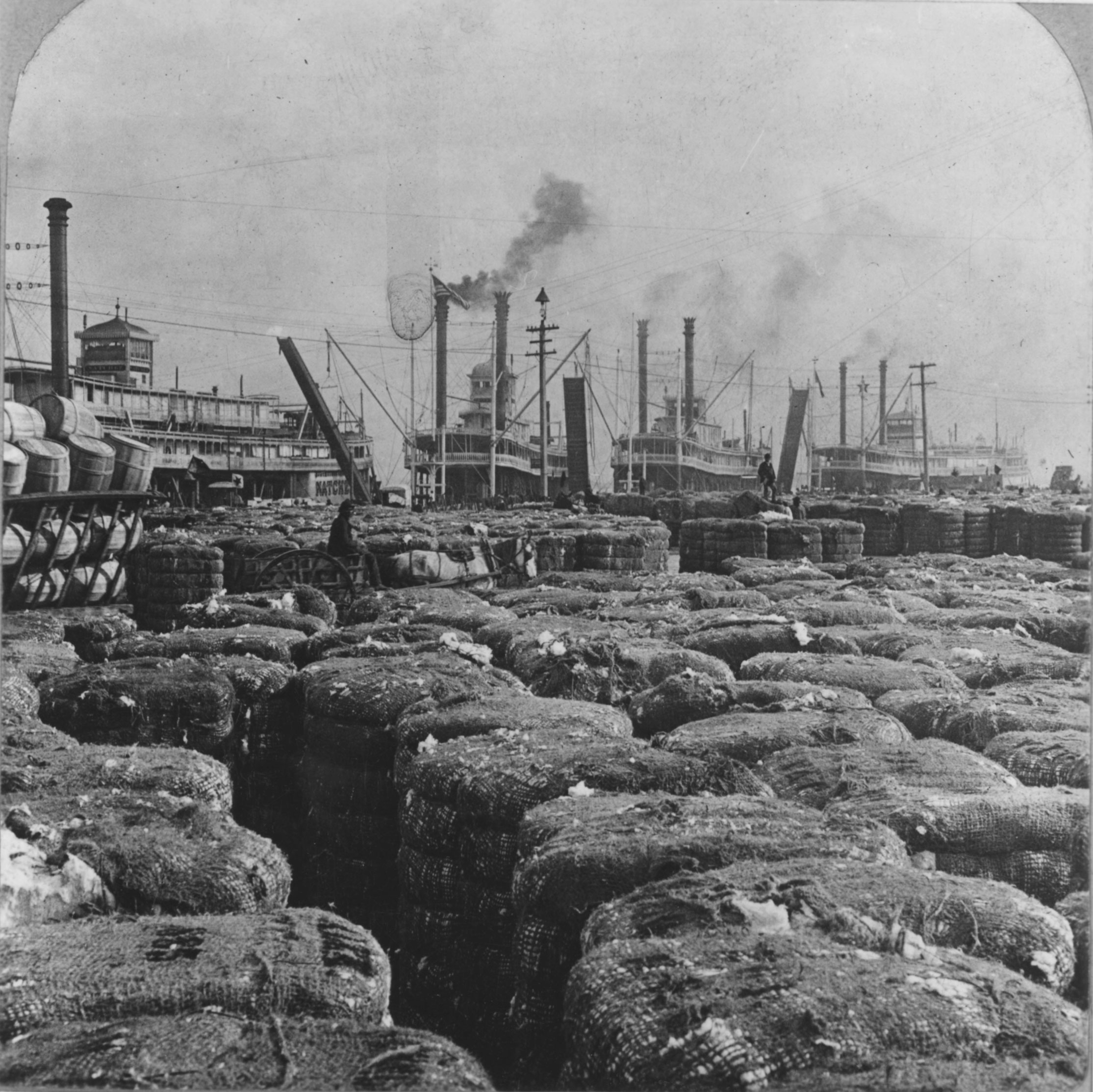 The South’s staple, packed into bales and awaiting transport up the Mississippi River, filled a New Orleans wharf.