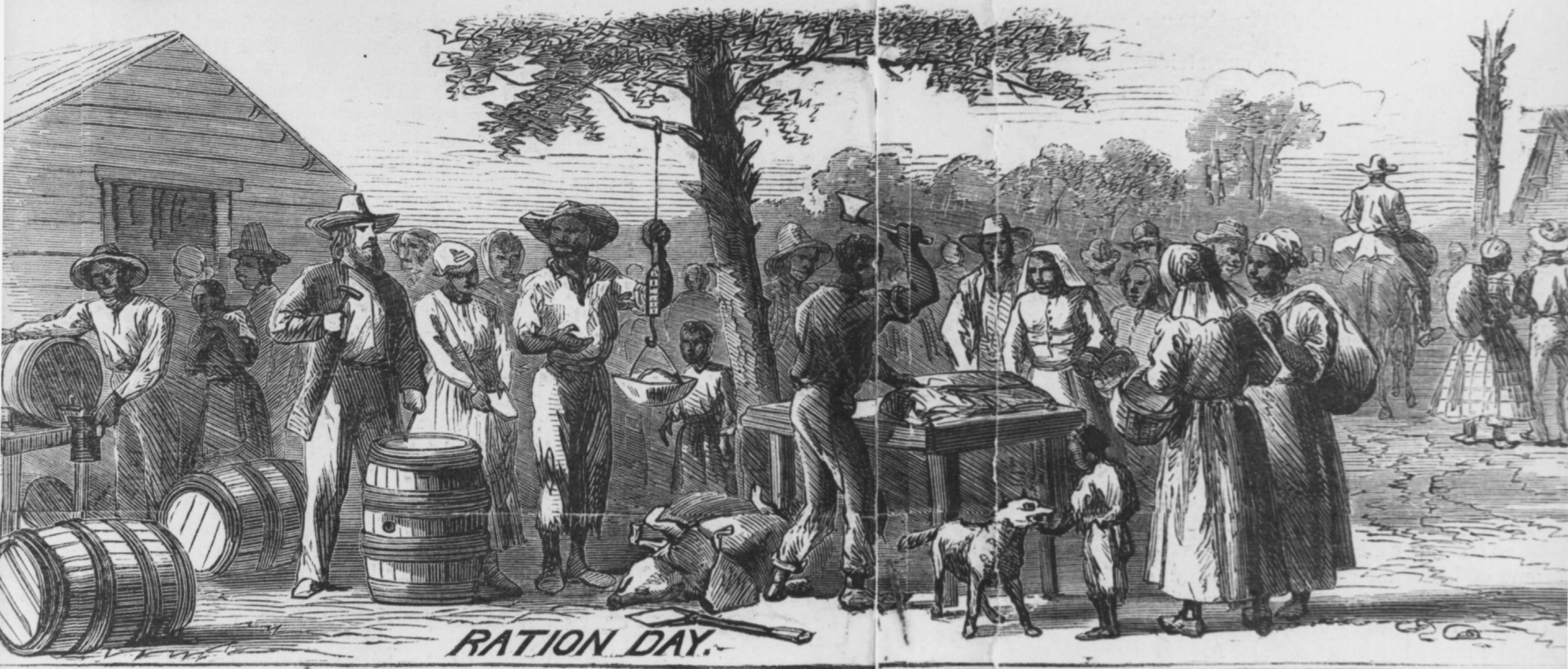 A planter distributed provisions in an illustration from a weekly newspaper report on the operations of a plantation around 1860. The engraving suggested that this planter provided his enslaved workers with a varied and nutritious diet, which was not typically the case. It failed to show the gardens and other methods people living in bondage used to supplement often meager or boring fare.
