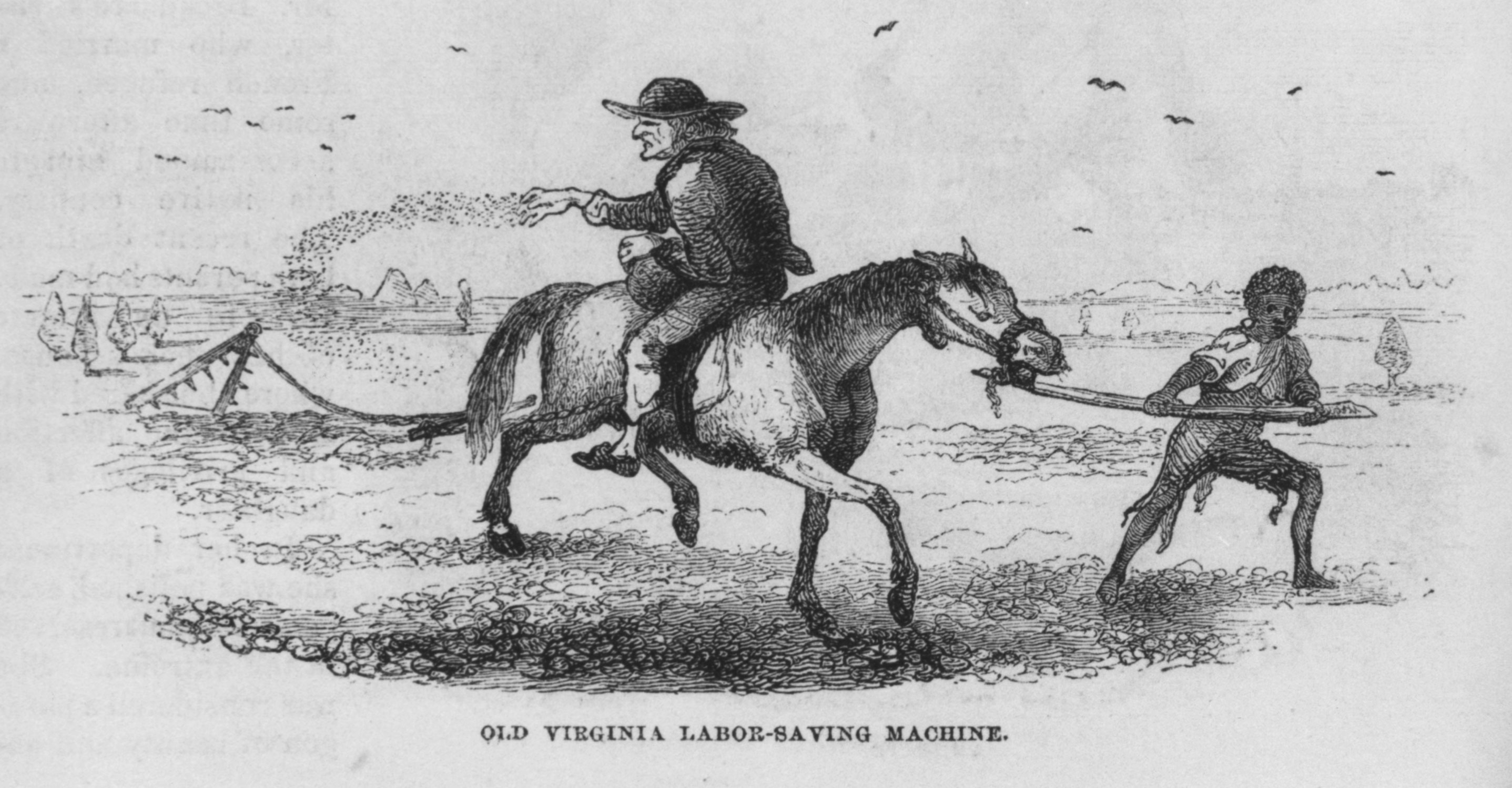 A cartoon in an 1857 edition of the northern <em>Harper’s New Monthly Magazine</em> satirized the planting techniques espoused by “Squire Broadacre,” a Virginia farmer. With access to enslaved labor, many southern planters resisted technical innovations, mechanical and otherwise, that would improve agricultural output.