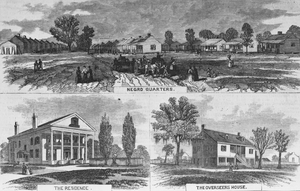 This pictorial survey of Oak Lawn, a large Louisiana sugar plantation on the Bayou Teche, includes a view of its quarters for enslaved African Americans, consisting of forty-two cabins.